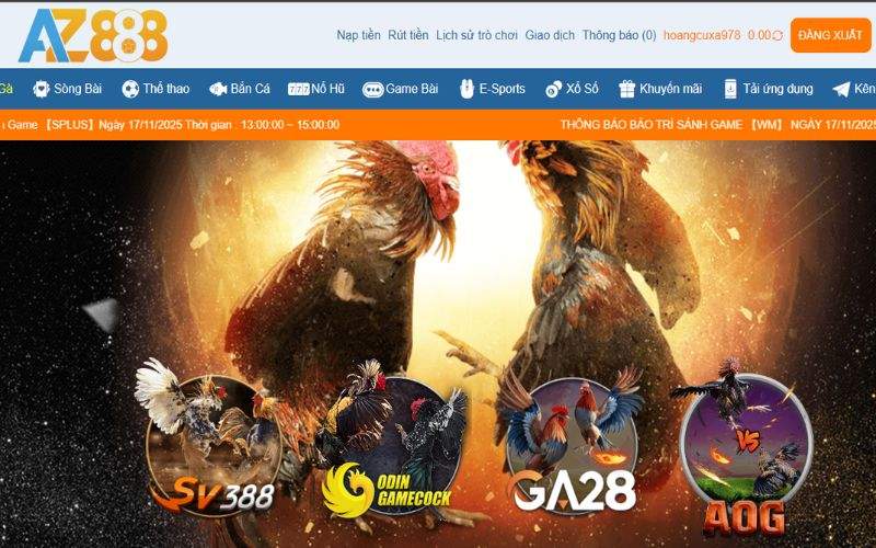 SV388 là một trong 4 sảnh cược đá gà tại AZ888 SV388 là một trong 4 sảnh cược đá gà tại AZ888